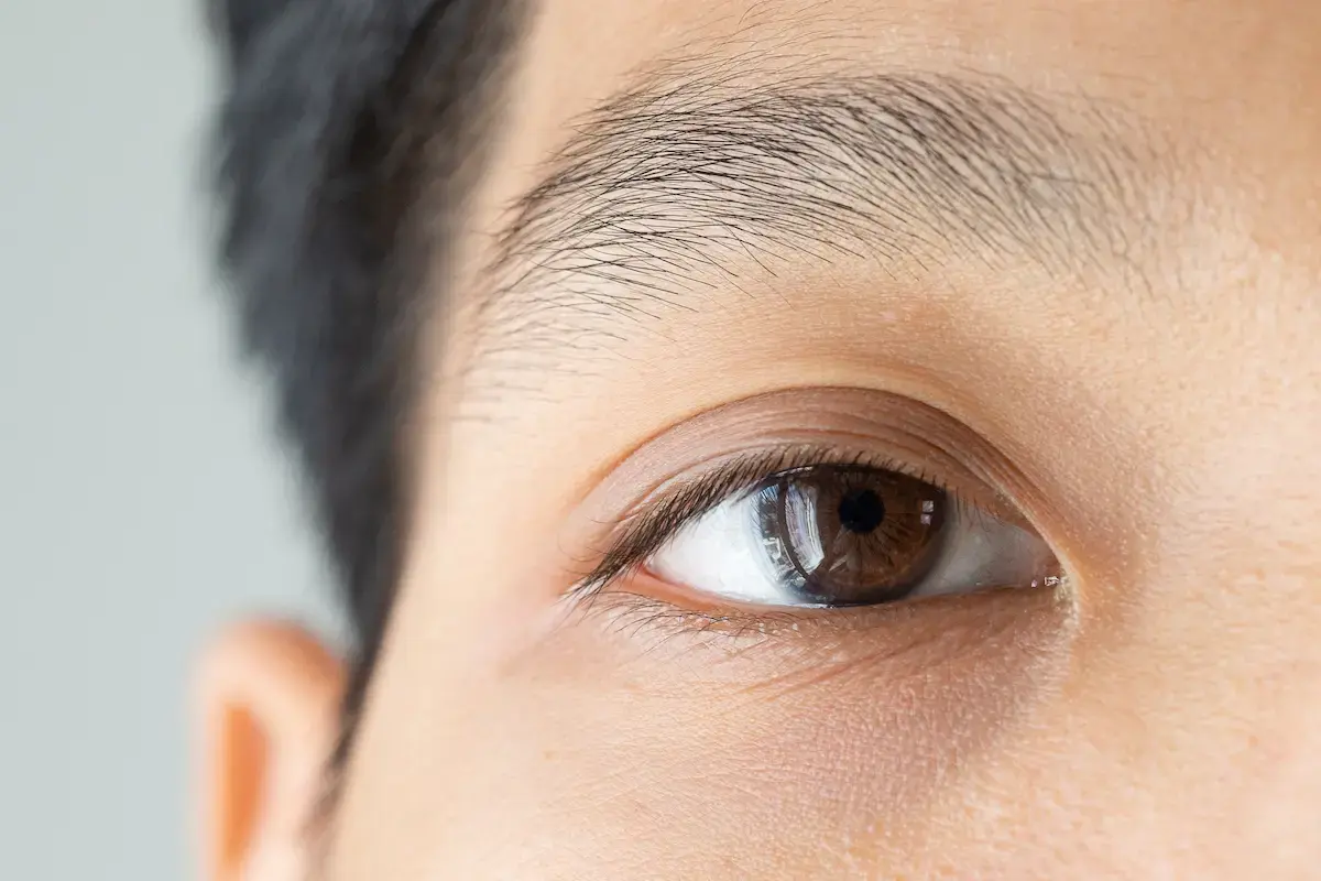 What Is the Eye Pupil