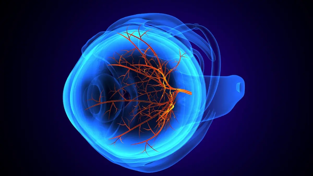 Letak saraf mata di kepala