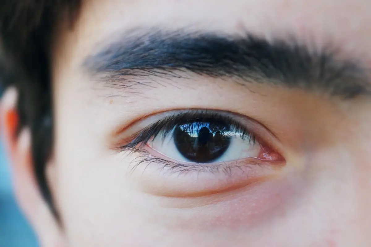 fungsi pupil pada mata